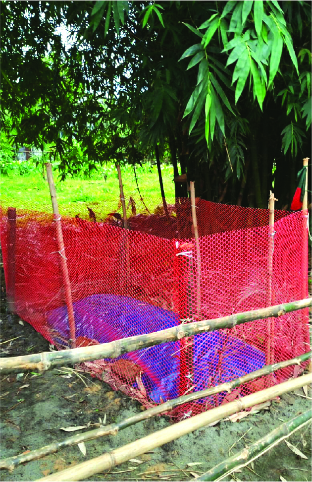 Image of মো: এলিম হোসেন